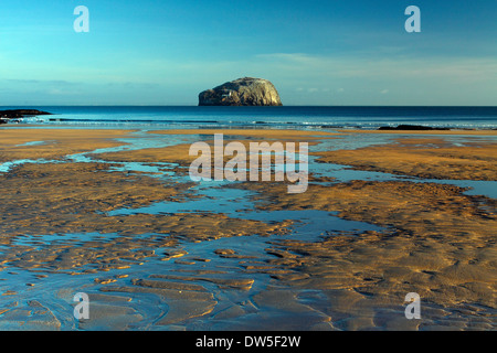 Bass Rock von Seacliff in der Nähe von North Berwick an der Küste von East Lothian, Schottland Stockfoto