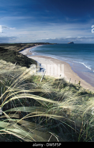 Bass Rock aus Ravensheigh Sand an der East Lothian Küste, Schottland Stockfoto