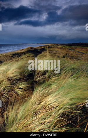 Dünen und ein Sturm zieht auf Prestwick, Ayrshire Stockfoto