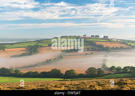 Nebel bedeckt Hügellandschaft an der Dämmerung, in der Nähe von Crediton, Devon, England. Herbst (September) 2012. Stockfoto