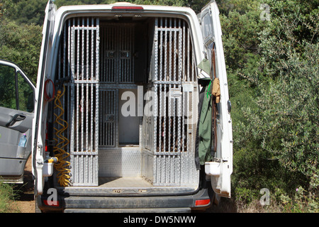 Deutscher Kurzhaariger Vorstehhund Hund / mehrere ausgewachsene Hunde Jagd Reisen in einem Käfig in den Kofferraum des Autos Stockfoto