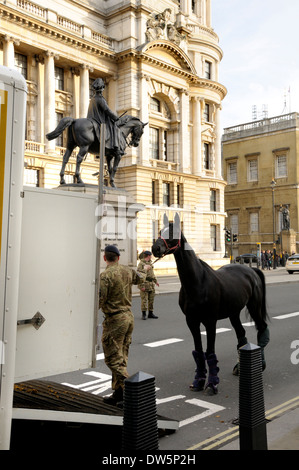 London, England, Vereinigtes Königreich. Soldat in Whitehall führt ein Pferd in einem Pferdetransporter durch Reiterstatue des Duke of Cambridge Stockfoto