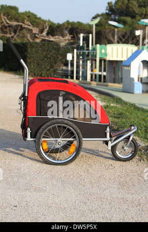 Tibet Spaniel Hund / mehrere Erwachsene in einem Kinderwagen für Hund Stockfoto