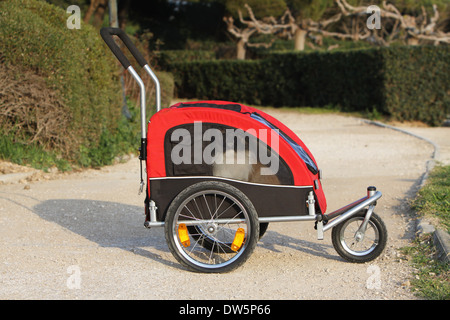 Tibet Spaniel Hund / mehrere Erwachsene in einem Kinderwagen für Hund Stockfoto