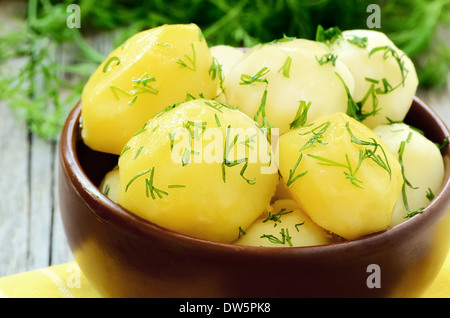 Gekochte Kartoffeln mit Dill in braunen Keramikschüssel Stockfoto