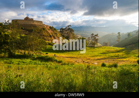 Ingapirca, Inka Wand- und Stadt, größte bekannte Inka Ruinen in Ecuador Stockfoto