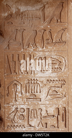 Hieroglyphen an der Wand die Mastaba des Unas Königs der 5. Dynastie Stockfoto