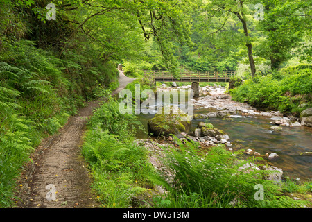 East Lyn River an Watersmeet, Exmoor National Park, Devon, England. Sommer (Juni) 2013 Stockfoto