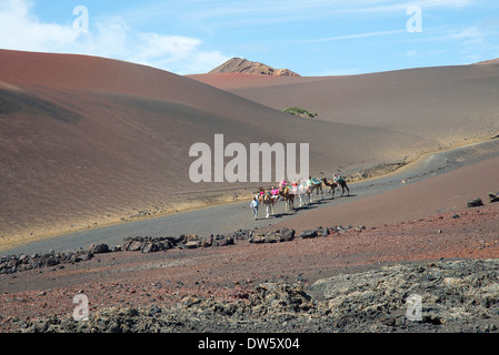 Nationalpark Timanfaya, Lanzarote, Kanarische Inseln, Kamelreiten, Kamelreiten Stockfoto