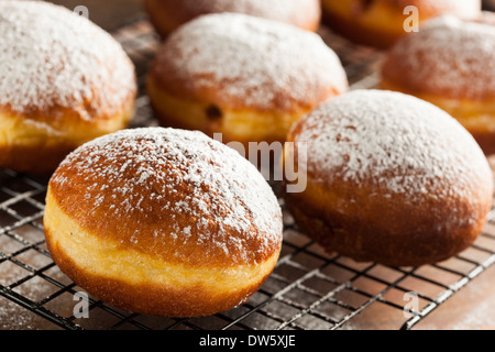 Hausgemachter Himbeer polnischen Paczki Donut mit Puderzucker Stockfoto