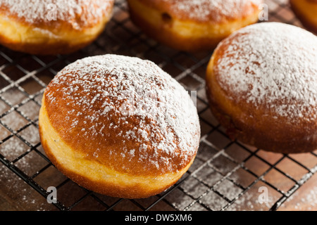 Hausgemachter Himbeer polnischen Paczki Donut mit Puderzucker Stockfoto