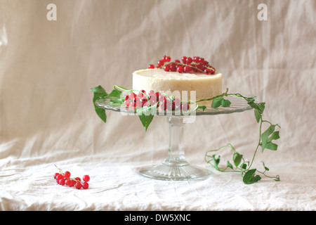 Weiße Mousse Torte mit Johannisbeeren auf einer Glasplatte auf dem weißen Tuch Stockfoto