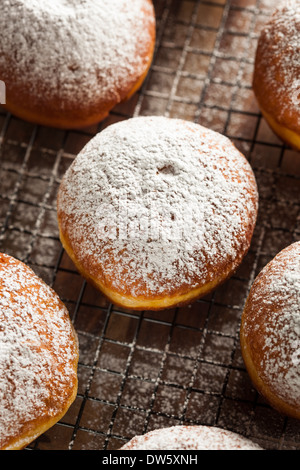 Hausgemachter Himbeer polnischen Paczki Donut mit Puderzucker Stockfoto