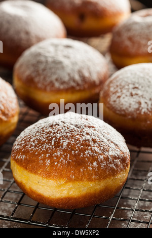 Hausgemachter Himbeer polnischen Paczki Donut mit Puderzucker Stockfoto