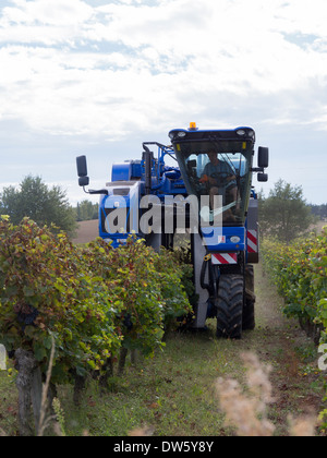 Ein Weinlese-Maschine bei der Arbeit in einem Weingut im Languedoc, Frace Stockfoto