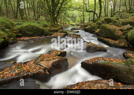 Fluss Fowey taumeln durch Felsen am Golitha fällt, Cornwall, England. Herbst (September) 2013. Stockfoto