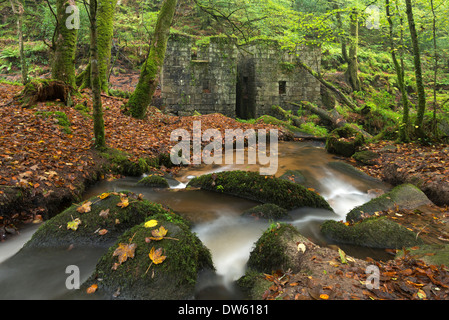 Reste der Schießpulver-Mühlen im Kennall Vale Naturreservat in Ponsanooth in der Nähe von Falmouth, Cornwall, England. Herbst (Oktober) 2013. Stockfoto