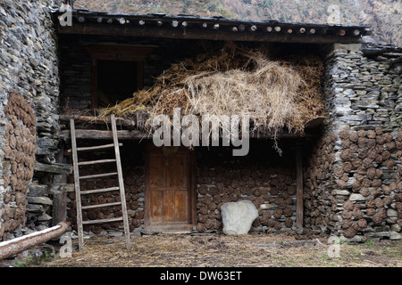 Viehfutter in einem Loft im Hof eines Hauses in der Tsum Valley, Nepal.  Rinder-Dung an den Wänden sind trocknen, für Kraftstoff. Stockfoto