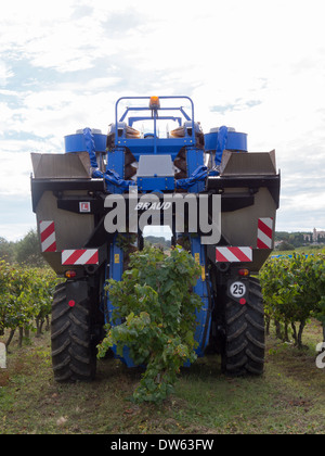 Ein Weinlese-Maschine bei der Arbeit in einem Weingut im Languedoc, Frace Stockfoto