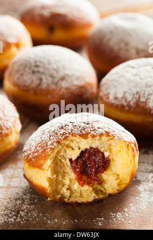 Hausgemachter Himbeer polnischen Paczki Donut mit Puderzucker Stockfoto