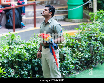 Ein Tiertrainer zeigt einen Vogel dem Publikum Jurong Bird Park in Singapur. Stockfoto