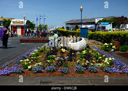 Fishermans wharf, Pier 39 touristische Attraktion San Francisco Kalifornien Schema attraktiv Landschaftsbau Pflanzen Blumen Pflanzen Stockfoto