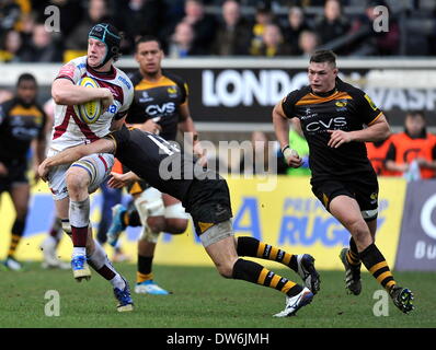 Rugby Union, High Wycombe, England. 1. März 2014. . James Gaskell Sale Sharks Angriff während der Aviva Premiership-Partie zwischen London Wasps und Sale Sharks im Adams Park am 1. März 2013 in High Wycombe, England. Stockfoto