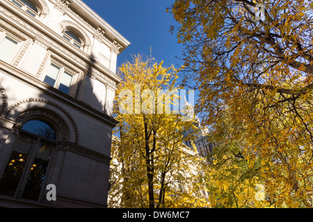 City Hall Park im Herbst, NYC Stockfoto