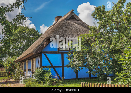 Blaue Fachwerkhaus mit Reetdach in Warthe, Insel Usedom, Mecklenburg-Western Pomerania, Deutschland, Europa Stockfoto