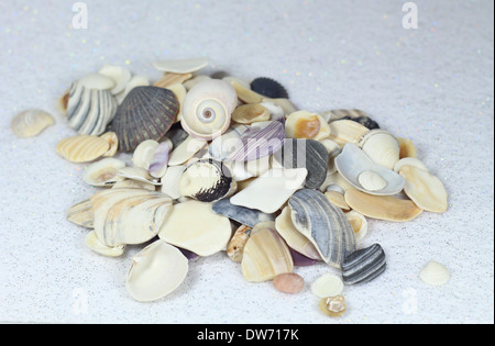 Muscheln - erholsamen Urlaub 1. Stockfoto