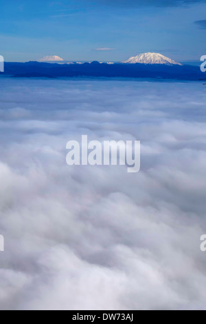 Die Cascade Mountains, einschließlich Mt. St. Helens und Mount Rainier, mit Wolken unter, Washington. Stockfoto