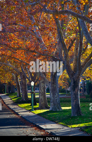 Verlieben Sie sich in Midtown Sacramento, Kalifornien. Stockfoto