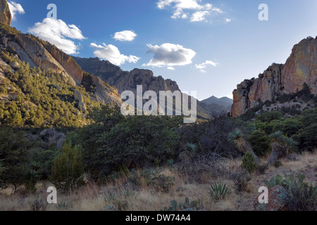 Chiricahua Bergen, Portal, Arizona Stockfoto