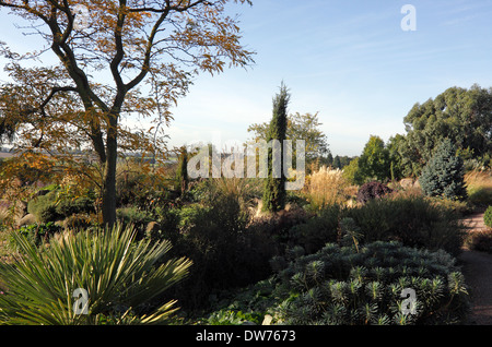 DER CHEMISCHE GARTEN IM HERBST IN DER RHS HYDE HALL. ESSEX UK. Stockfoto