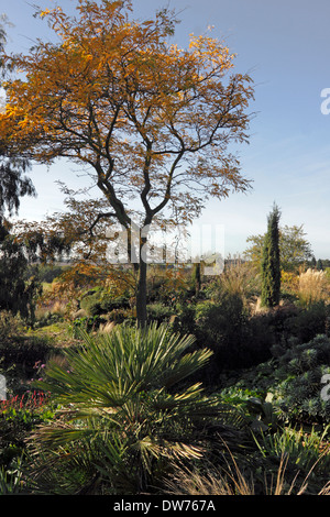 DER CHEMISCHE GARTEN IM HERBST IN DER RHS HYDE HALL. ESSEX UK. Stockfoto