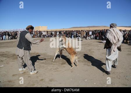 (140302)--GHAZNI, 2. März 2014 (Xinhua)--Menschen zu sehen, in der Provinz Ghazni, Afghanistan, 2. März 2014 Hund kämpfen. (Xinhua/Rahmat) (Zhf) Stockfoto