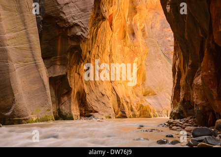 Virgin River Narrows, Zion Nationalpark, Utah, USA Stockfoto