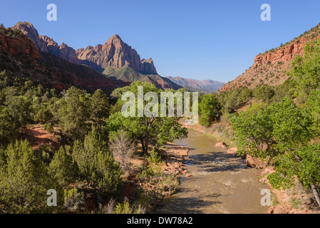 Virgin River mit Blick auf die Wächter, Zion Nationalpark, Utah, USA Stockfoto