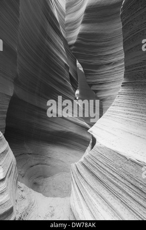 Innere des Antelope Canyon, versauten orange Wellen aus Stein gemacht Stockfoto