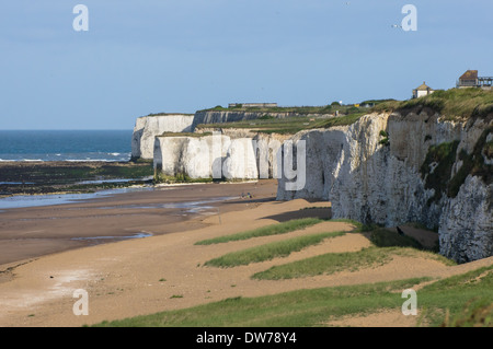 Kreidefelsen in Botany Bay Beach an Broadstairs Kent England Vereinigtes Königreich UK Stockfoto