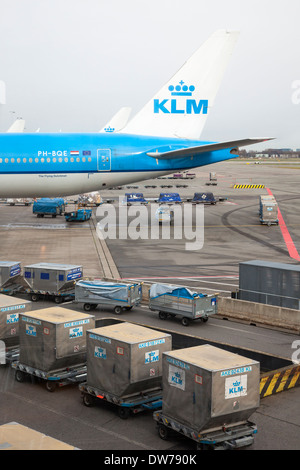 KLM Flugzeug geladen mit Containern auf einer Laderampe Schiphol Flughafen, Amsterdam, Holland, Niederlande Stockfoto