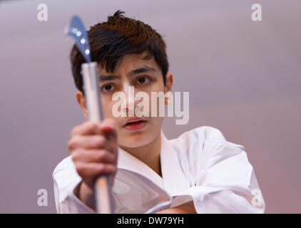 Martial Arts anzeigen auf der Fotografie-Messe im NEC in Birmingham UK Stockfoto