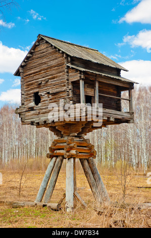 Holzhaus auf Pfählen im Feld Stockfoto