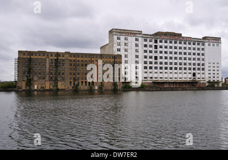 Spillers Millennium Mills und Rank Hovis Premier Mühle, Royal Victoria Docks, Newham, London E16, Vereinigtes Königreich Stockfoto