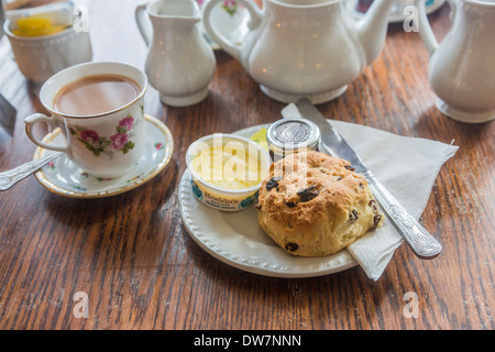 Traditionelle Creme Tee mit Scones, Clotted Cream, Erdbeer-Marmelade und eine Tasse Tee in einem blumigen China Tasse und Untertasse Stockfoto