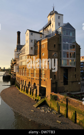 Shad Thames und Butlers Wharf Apartments mit Blick auf die Themse in der Nähe von Tower Bridge, London, Vereinigtes Königreich, Bermondsey, letzterer Stockfoto