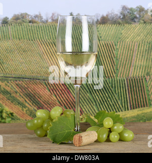Weißwein in einem Glas in den Weinbergen im Herbst Stockfoto