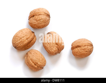 Makro von Walnüssen isoliert auf weißem Hintergrund Stockfoto