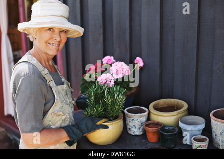 Aktive ältere Frau Blumenerde einige Pflanzen in Terrakotta-Töpfe auf einer Theke in Hinterhof. Ältere weibliche Gärtner Blumen Pflanzen. Stockfoto