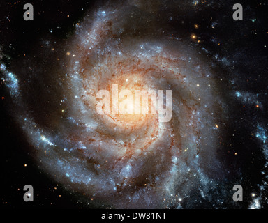 Spiralgalaxie M101 Stockfoto